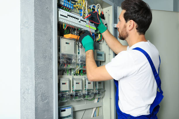 Best Electrical Troubleshooting Services  in Fox River Grove, IL