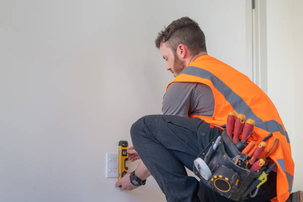 Best Electric Panel Repair  in Fox River Grove, IL